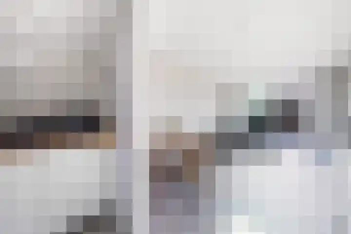 Fresiatuin 2 Pijnacker thumbnail 13