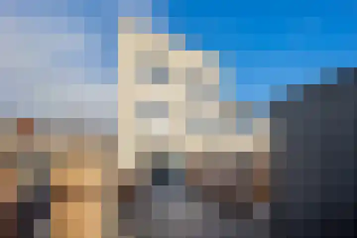 Fresiatuin 2 Pijnacker thumbnail 16
