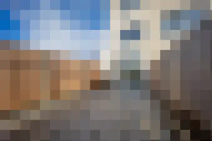 Fresiatuin 2 Pijnacker thumbnail 17
