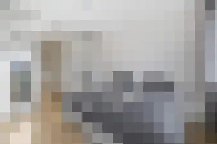Fresiatuin 2 Pijnacker thumbnail 20
