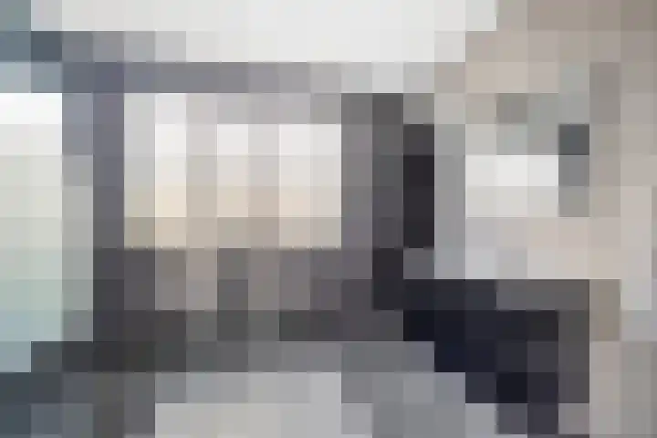 Fresiatuin 2 Pijnacker thumbnail 21
