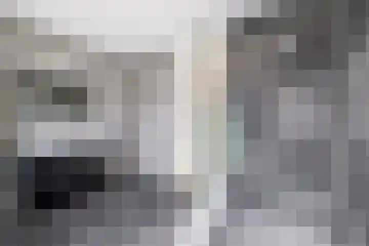 Fresiatuin 2 Pijnacker thumbnail 22
