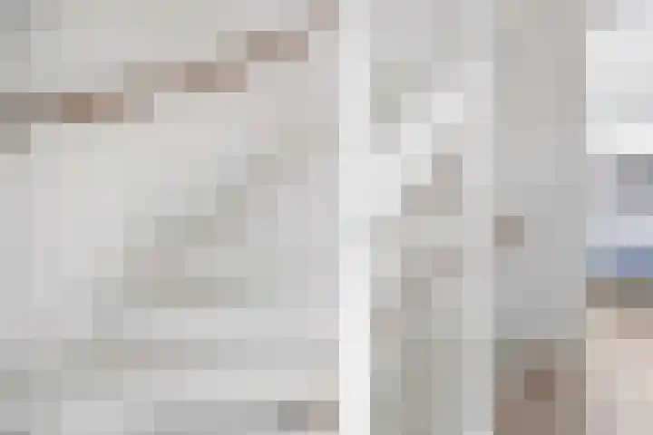 Fresiatuin 2 Pijnacker thumbnail 23