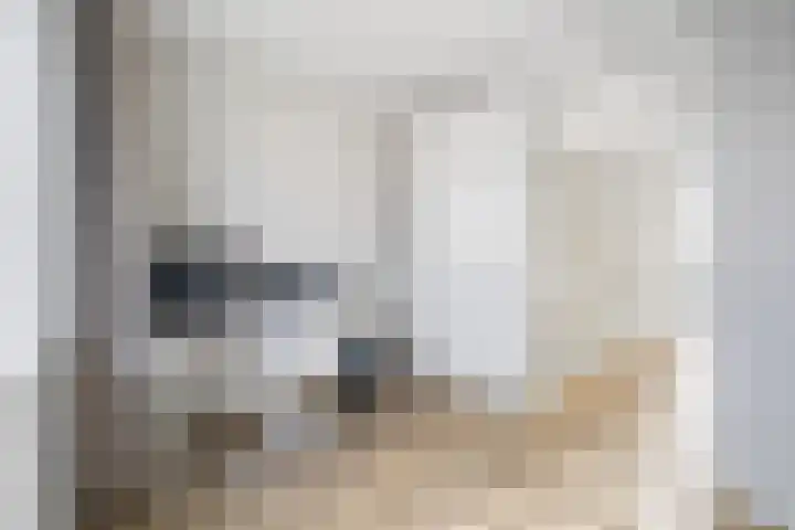 Fresiatuin 2 Pijnacker thumbnail 25