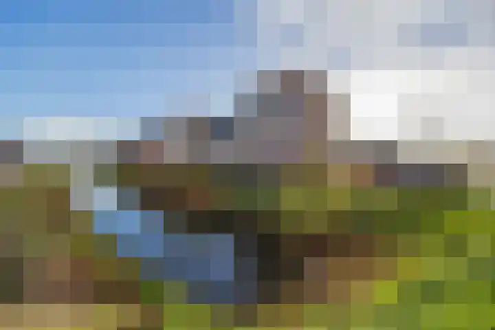 Fresiatuin 2 Pijnacker thumbnail 30