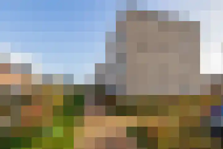 Fresiatuin 2 Pijnacker thumbnail 31