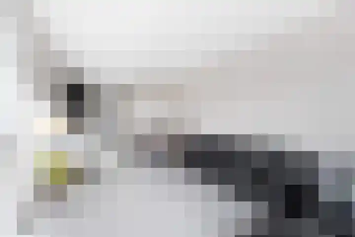 Fresiatuin 2 Pijnacker thumbnail 8