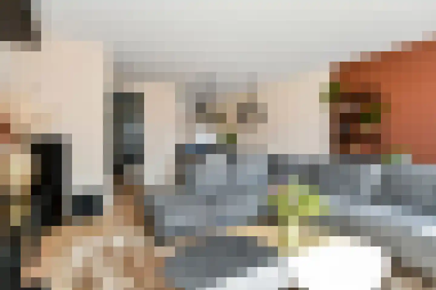 Fresiatuin 24 Pijnacker thumbnail 10