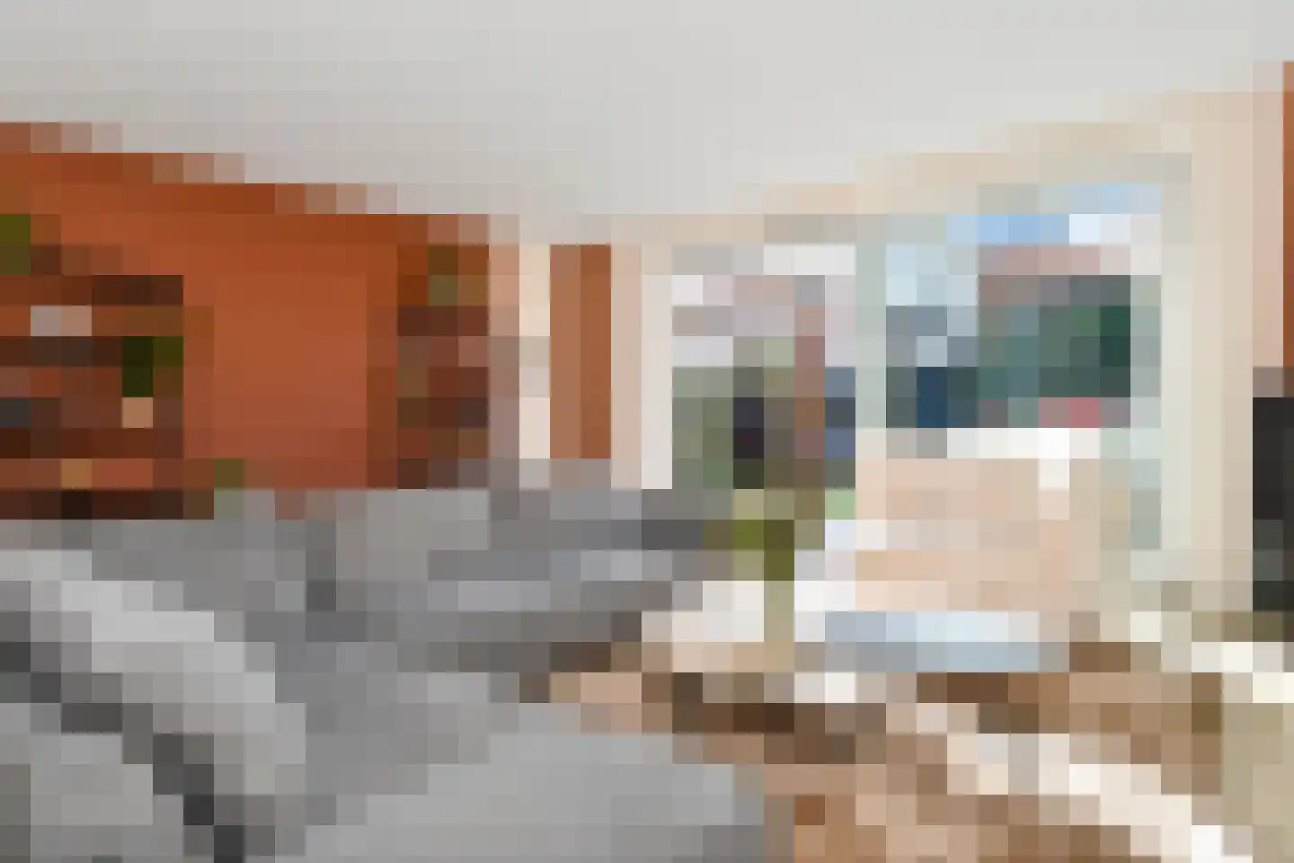Fresiatuin 24 Pijnacker thumbnail 11