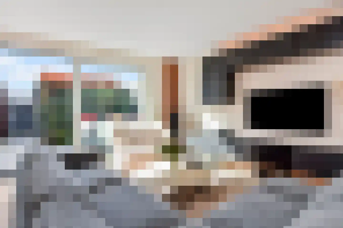 Fresiatuin 24 Pijnacker thumbnail 12