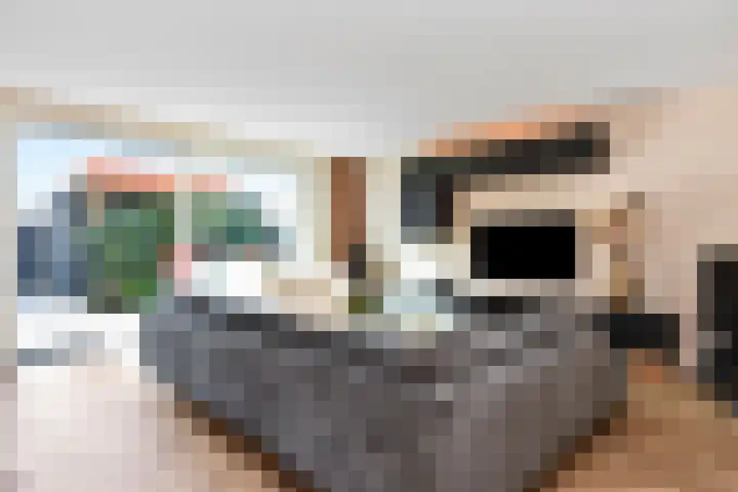 Fresiatuin 24 Pijnacker thumbnail 13