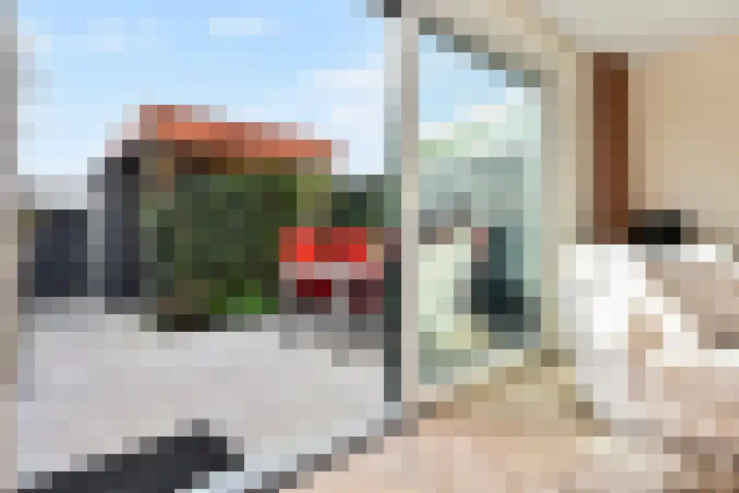 Fresiatuin 24 Pijnacker thumbnail 14
