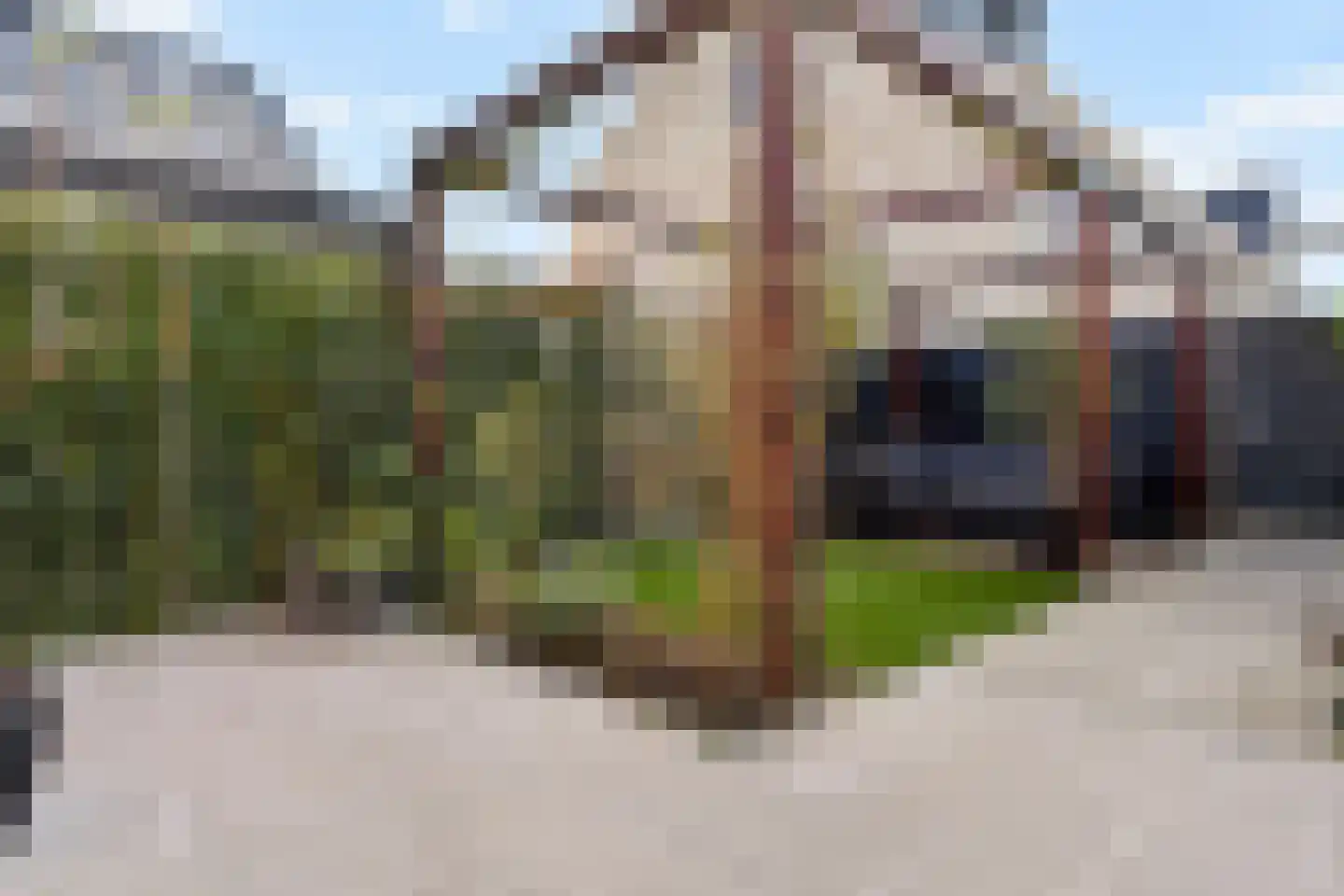 Fresiatuin 24 Pijnacker thumbnail 15