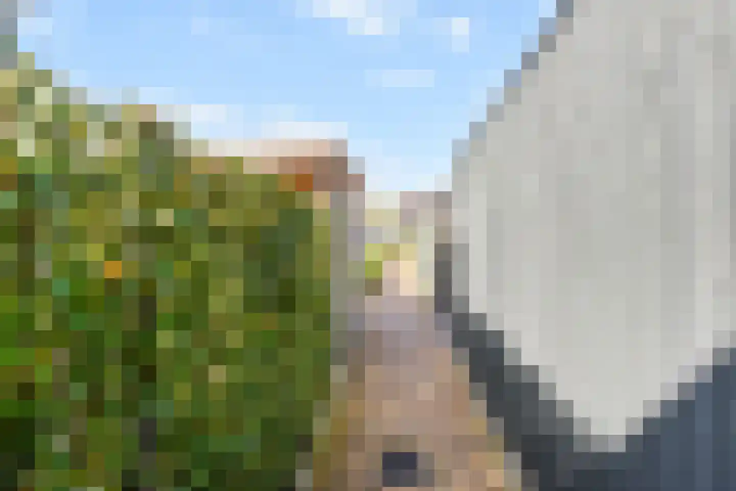 Fresiatuin 24 Pijnacker thumbnail 18