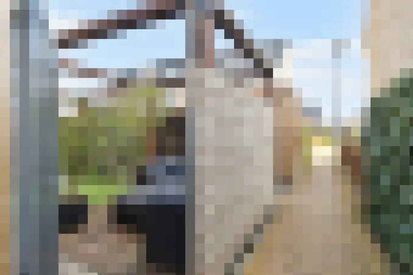Fresiatuin 24 Pijnacker thumbnail 19