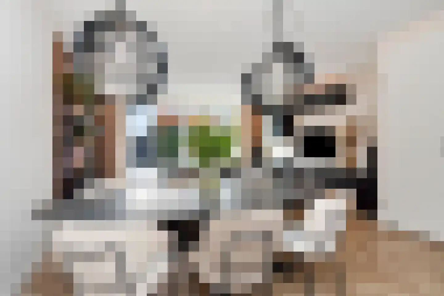 Fresiatuin 24 Pijnacker thumbnail 21