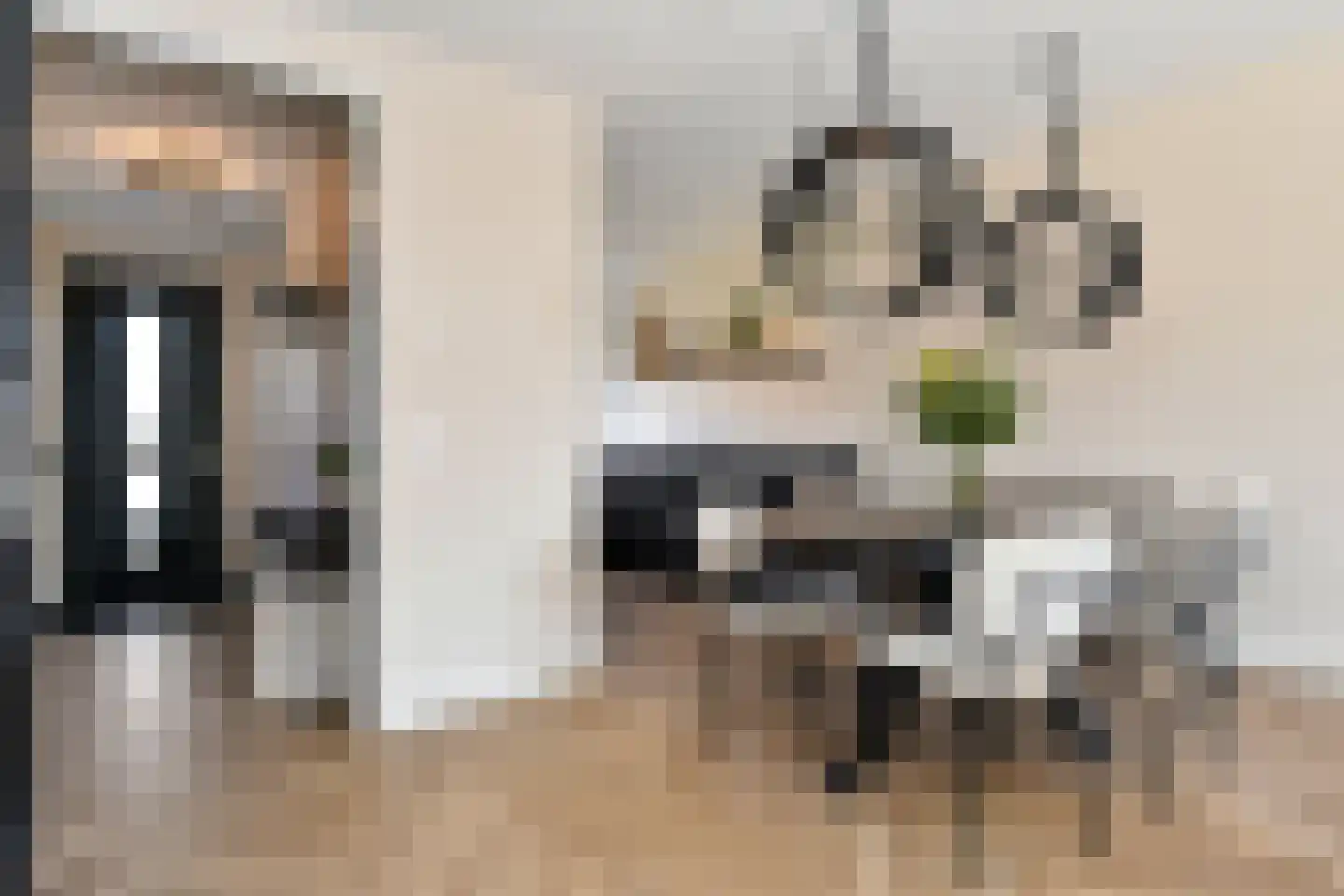 Fresiatuin 24 Pijnacker thumbnail 22