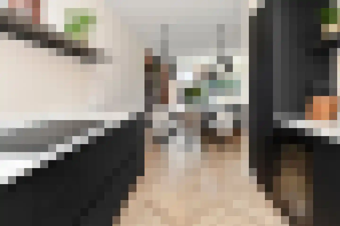 Fresiatuin 24 Pijnacker thumbnail 24