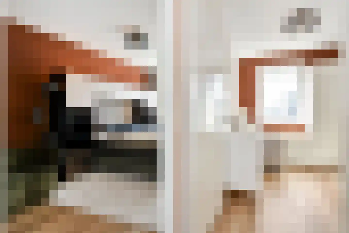 Fresiatuin 24 Pijnacker thumbnail 26
