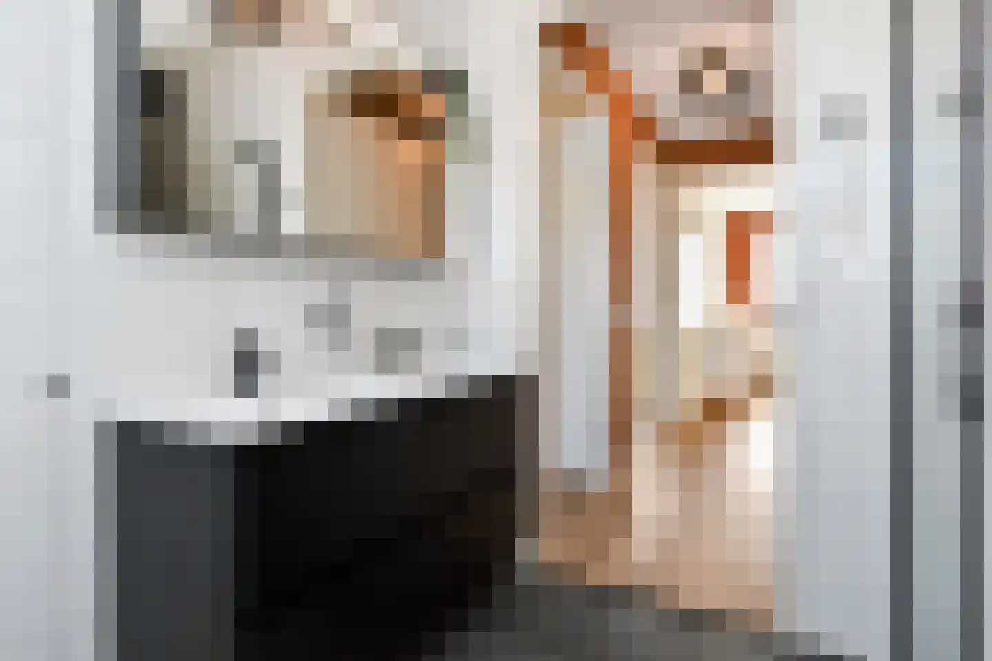 Fresiatuin 24 Pijnacker thumbnail 31