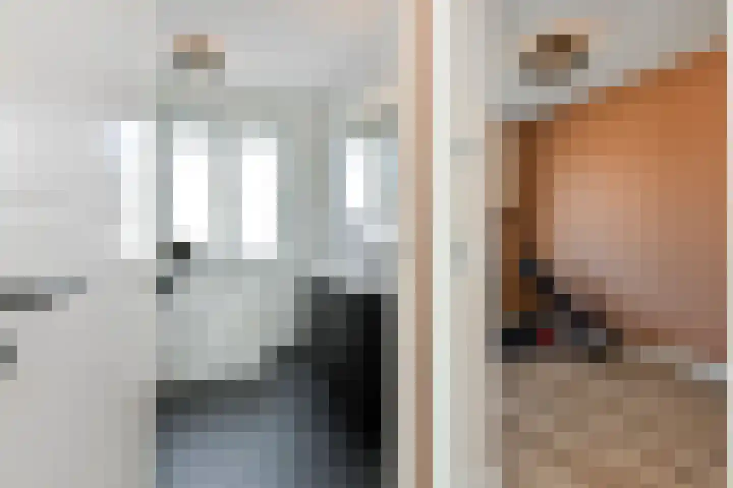 Fresiatuin 24 Pijnacker thumbnail 34