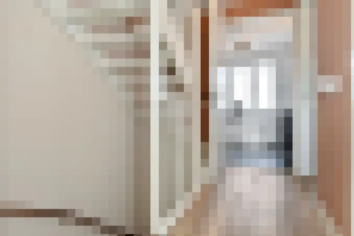 Fresiatuin 24 Pijnacker thumbnail 36