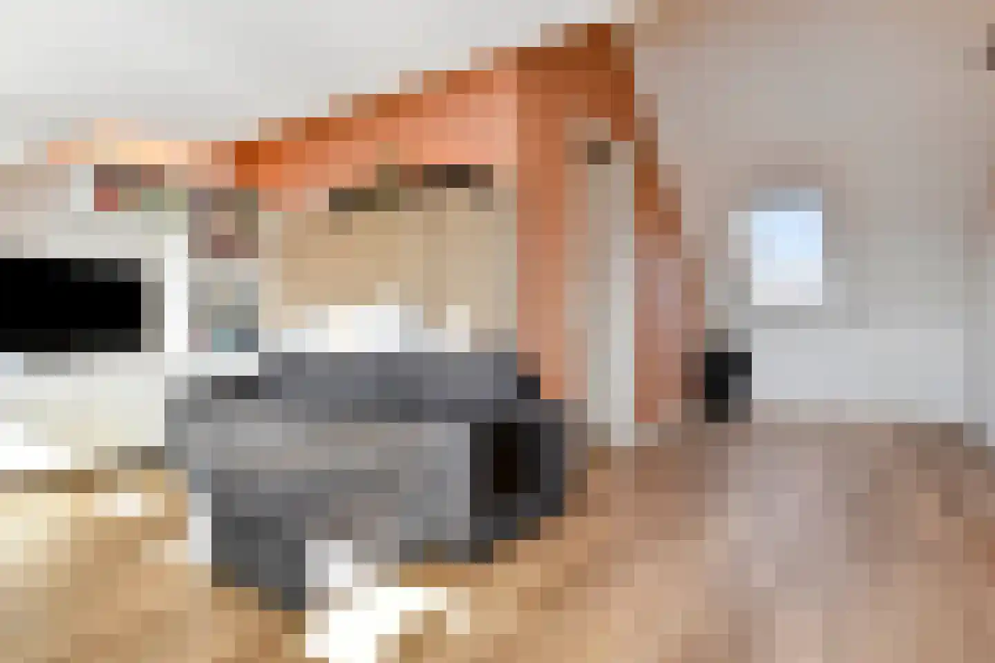 Fresiatuin 24 Pijnacker thumbnail 38