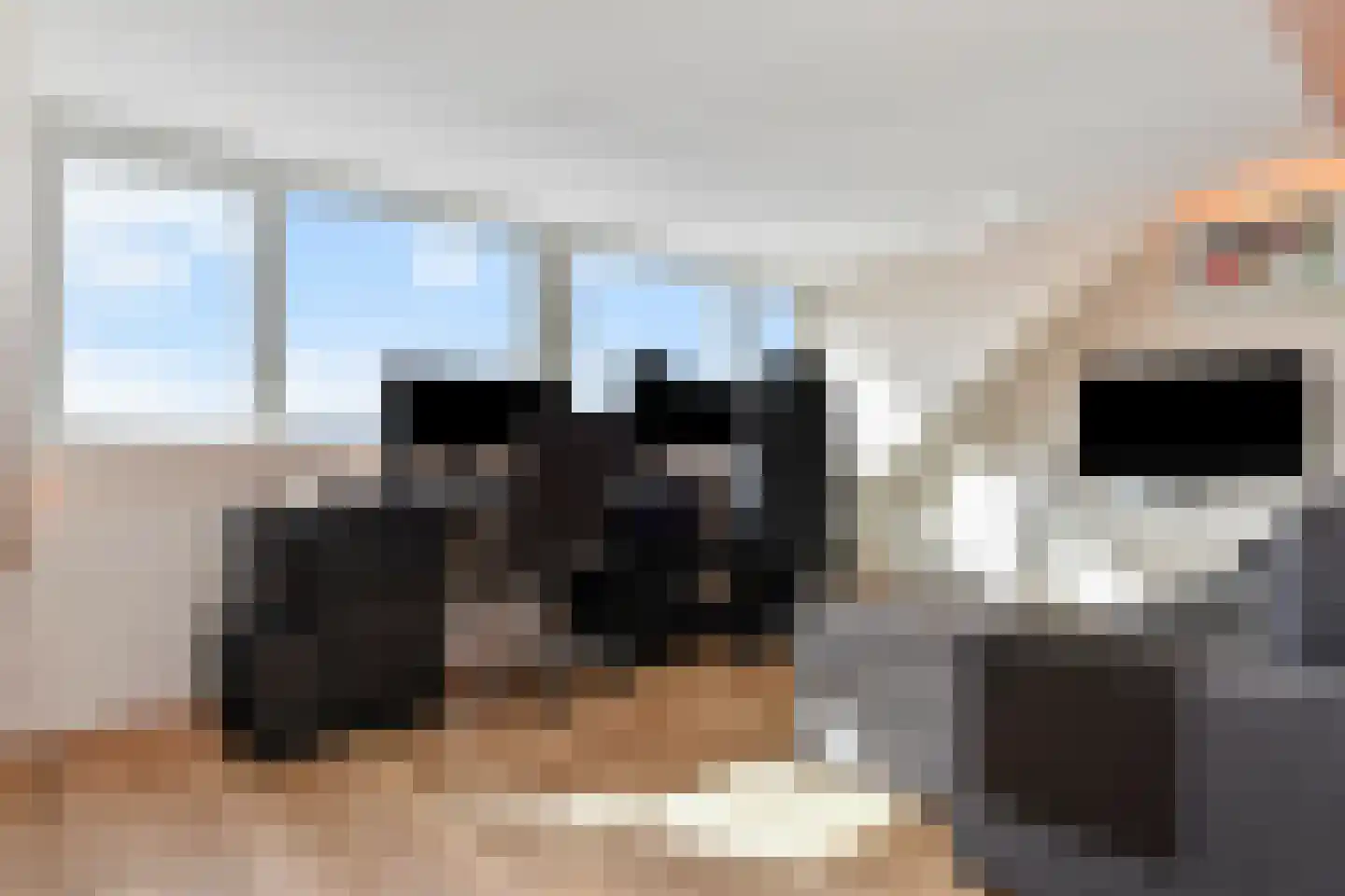 Fresiatuin 24 Pijnacker thumbnail 41