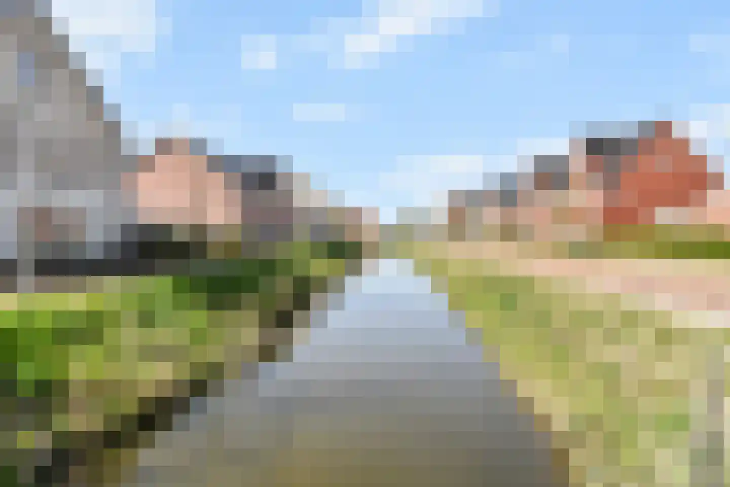 Fresiatuin 24 Pijnacker thumbnail 42