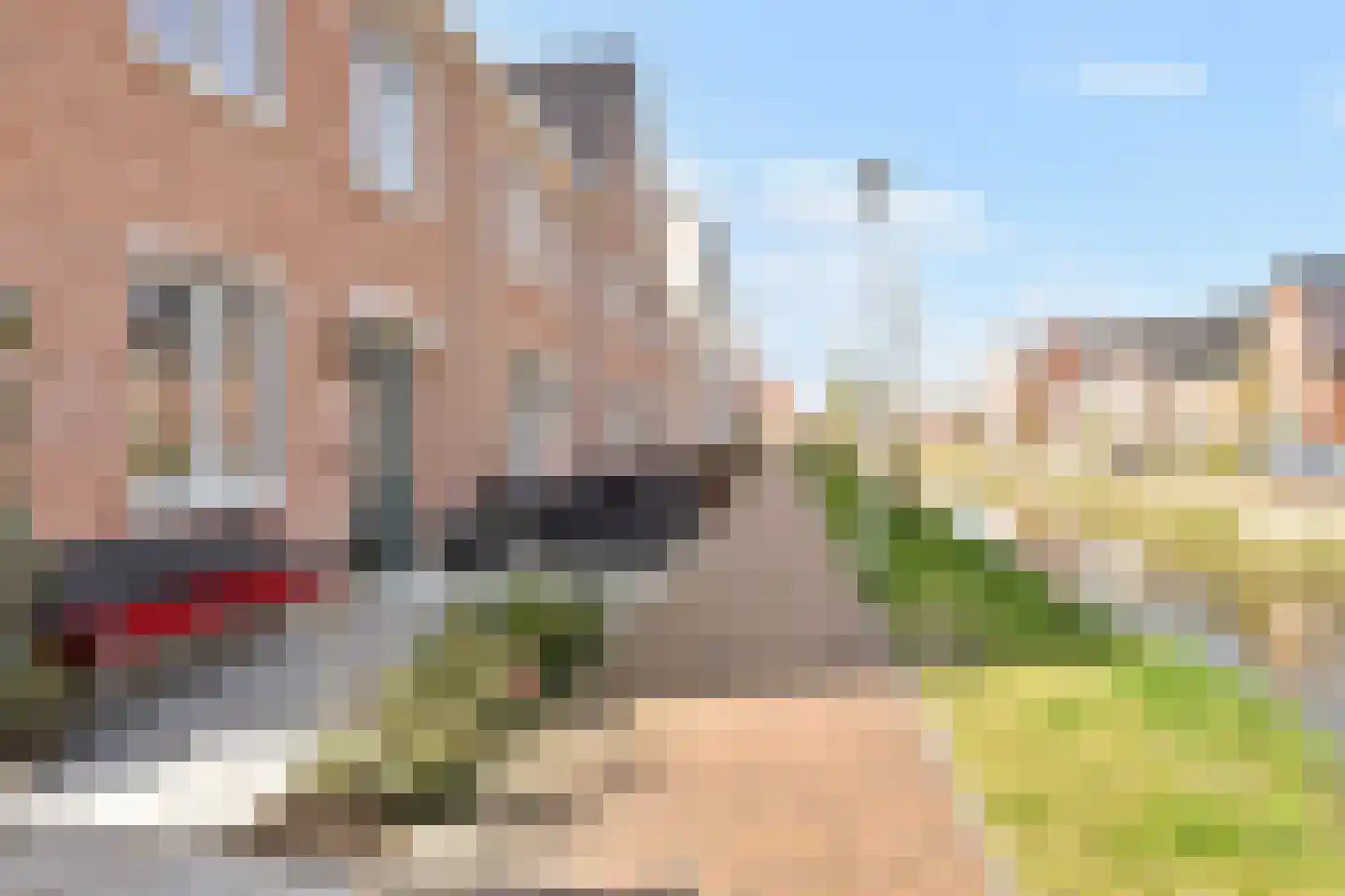 Fresiatuin 24 Pijnacker thumbnail 5