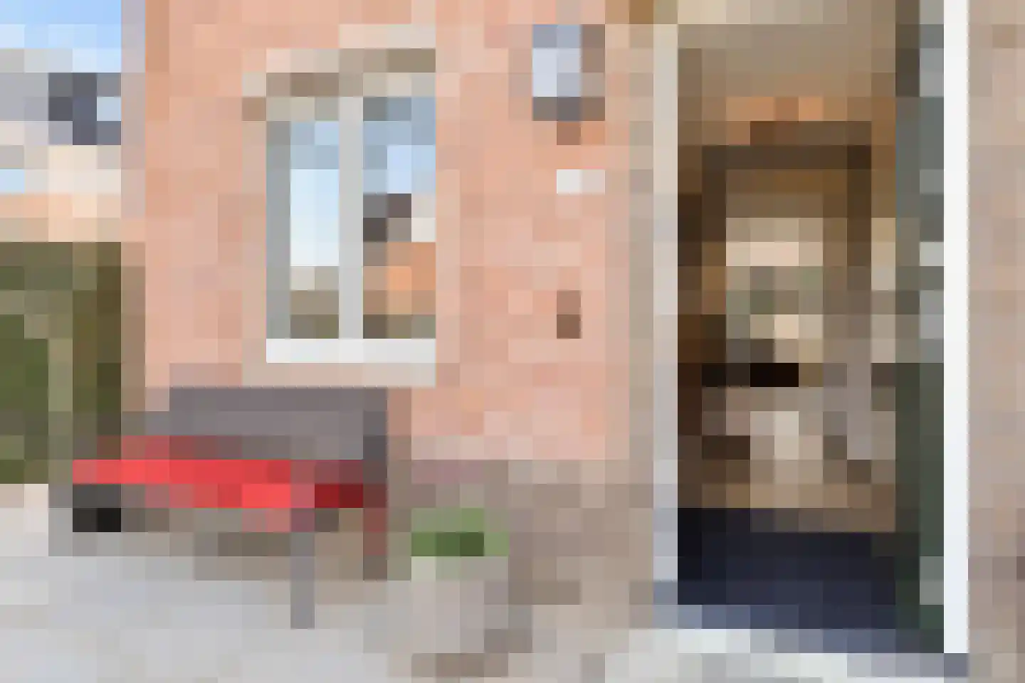 Fresiatuin 24 Pijnacker thumbnail 6