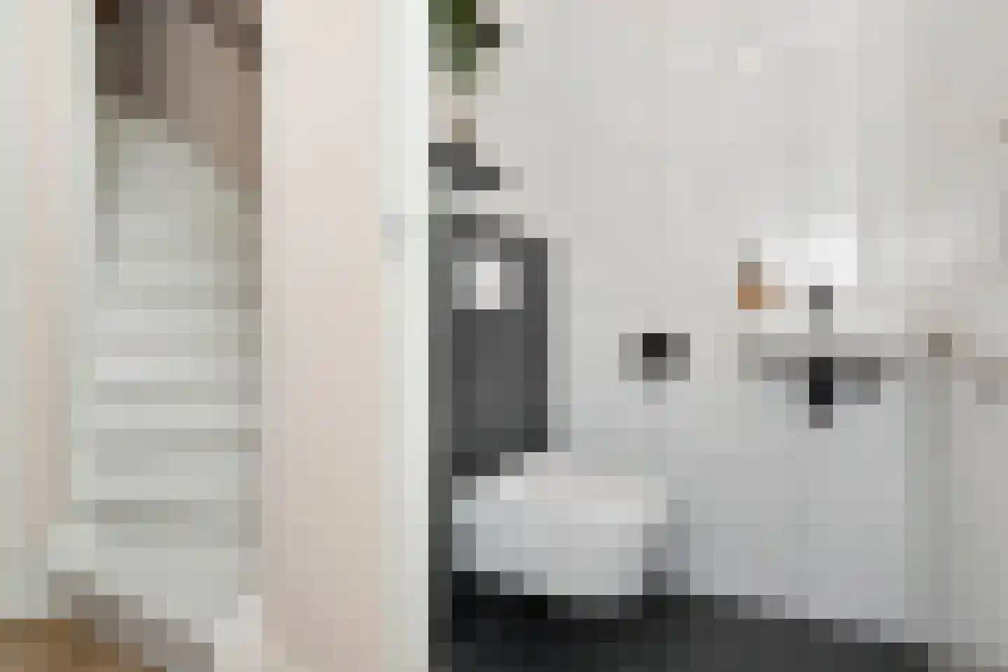 Fresiatuin 24 Pijnacker thumbnail 8