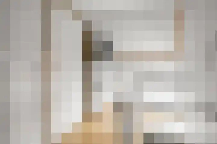 Fresiatuin 6 Pijnacker