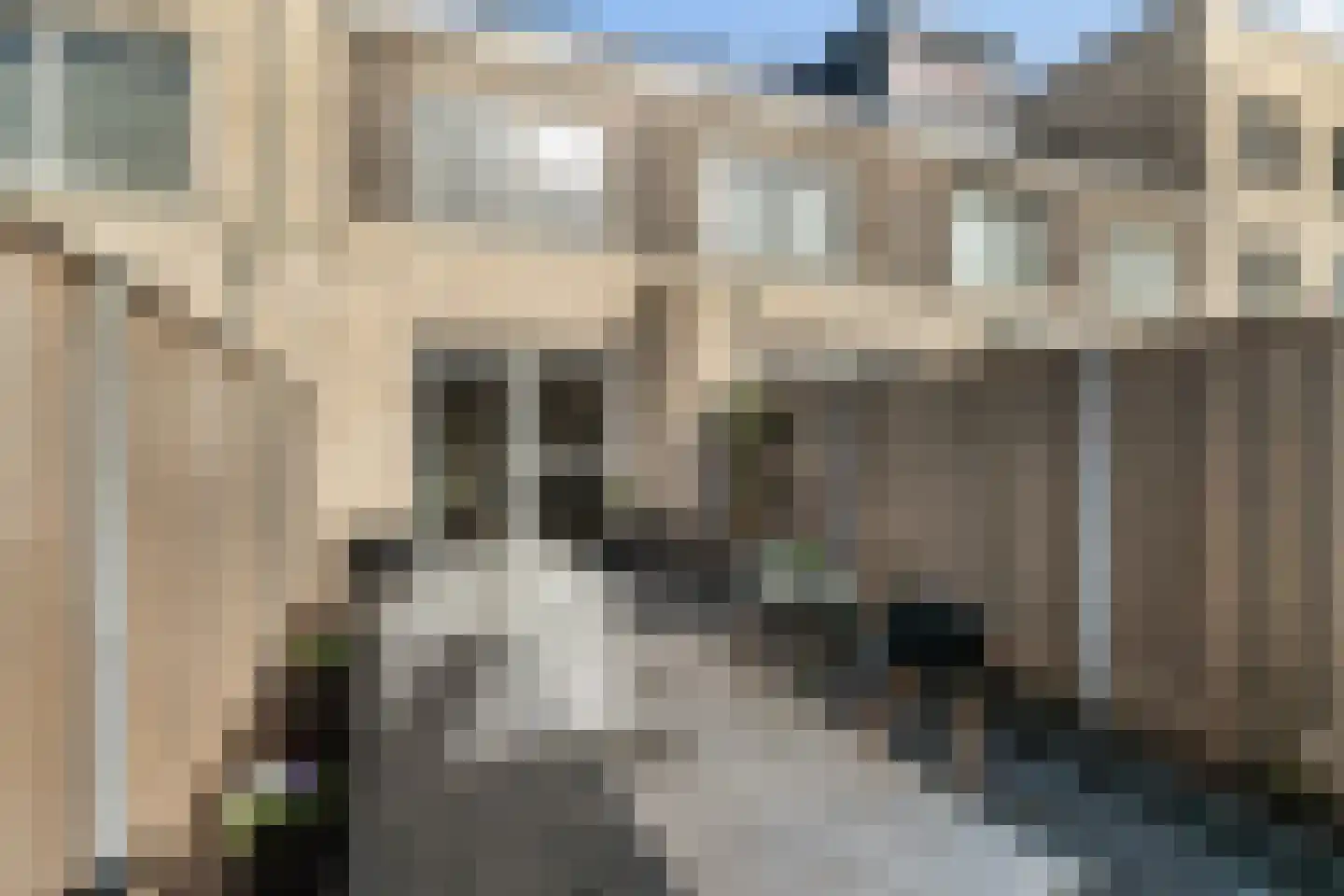 Fresiatuin 6 Pijnacker thumbnail 13