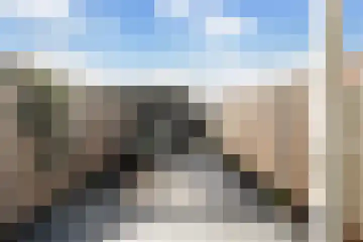 Fresiatuin 6 Pijnacker thumbnail 14