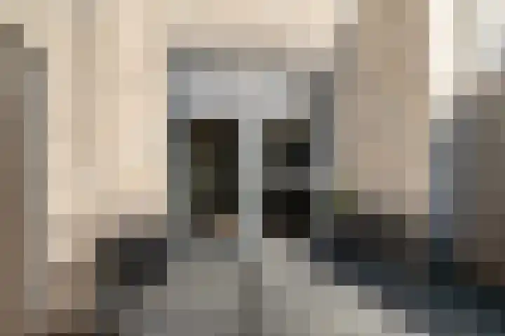 Fresiatuin 6 Pijnacker thumbnail 15