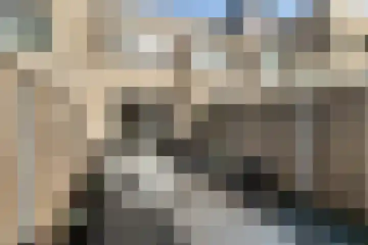 Fresiatuin 6 Pijnacker thumbnail 16