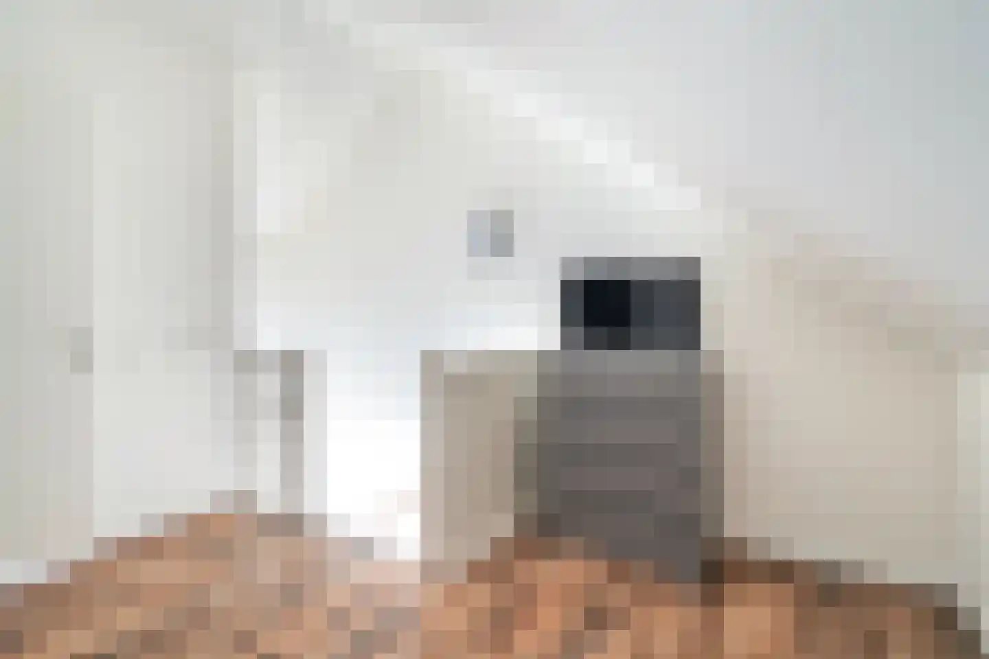 Fresiatuin 6 Pijnacker thumbnail 23