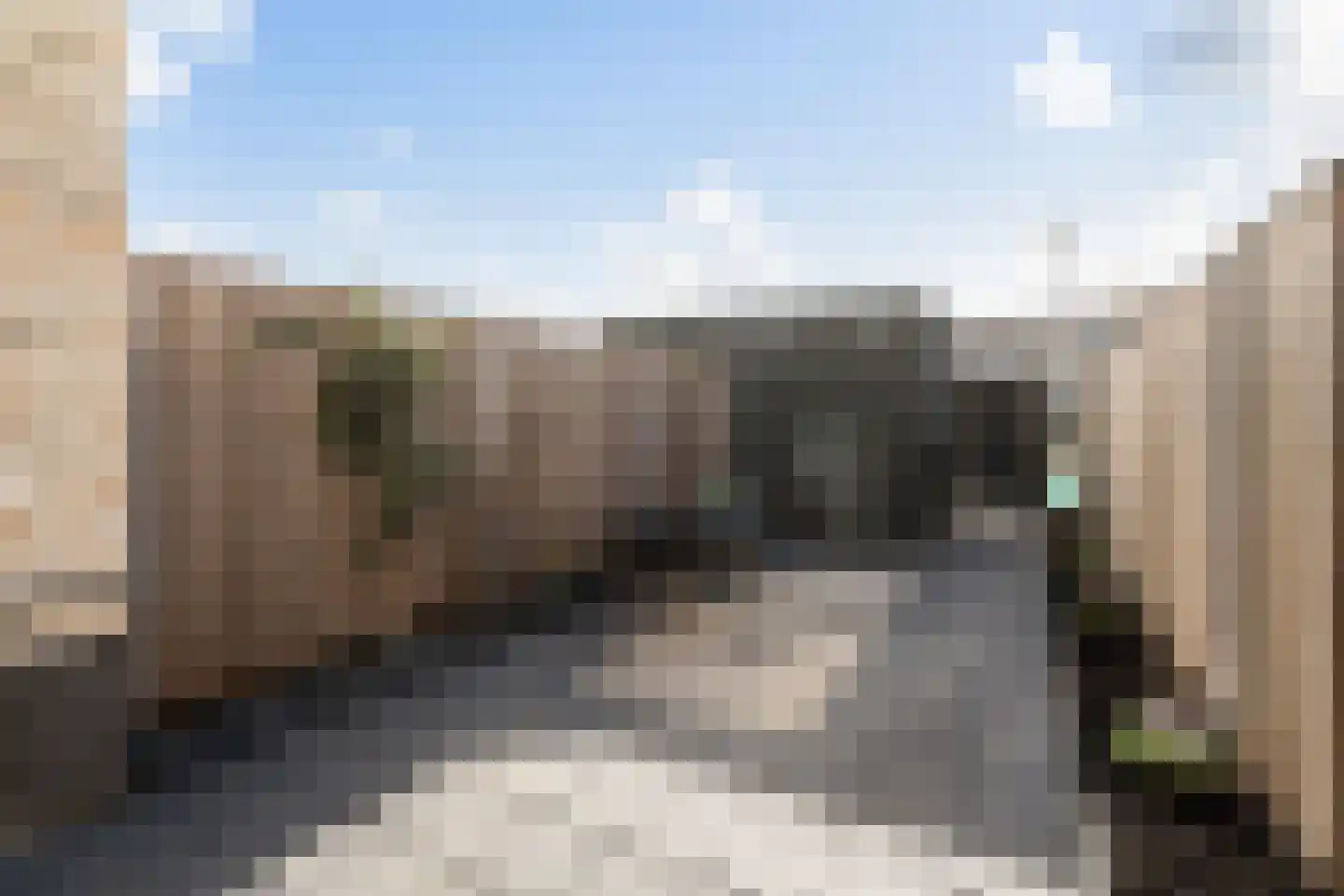 Fresiatuin 6 Pijnacker thumbnail 7
