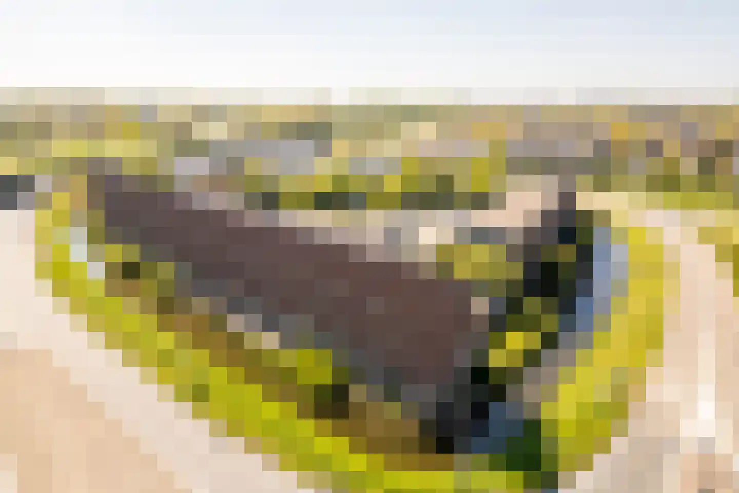 Fresiaveld 8 Nieuwerkerk aan den IJssel thumbnail 35