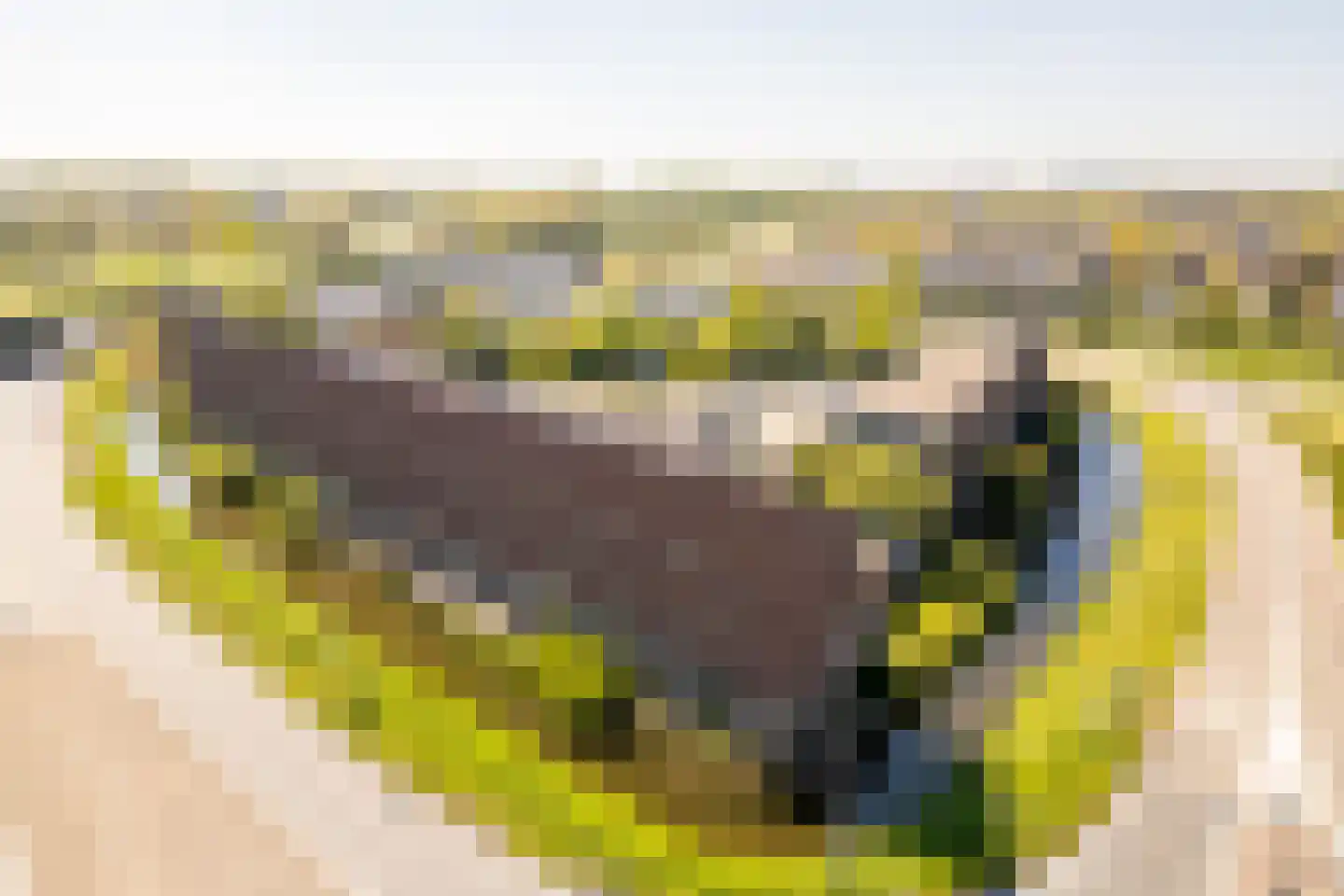 Fresiaveld 8 Nieuwerkerk aan den IJssel thumbnail 36