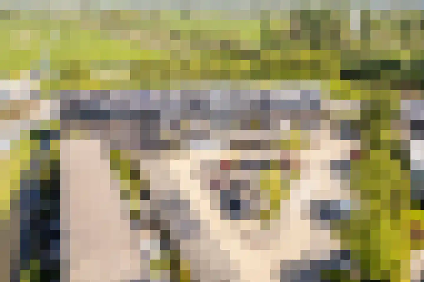 Fresiaveld 8 Nieuwerkerk aan den IJssel thumbnail 38