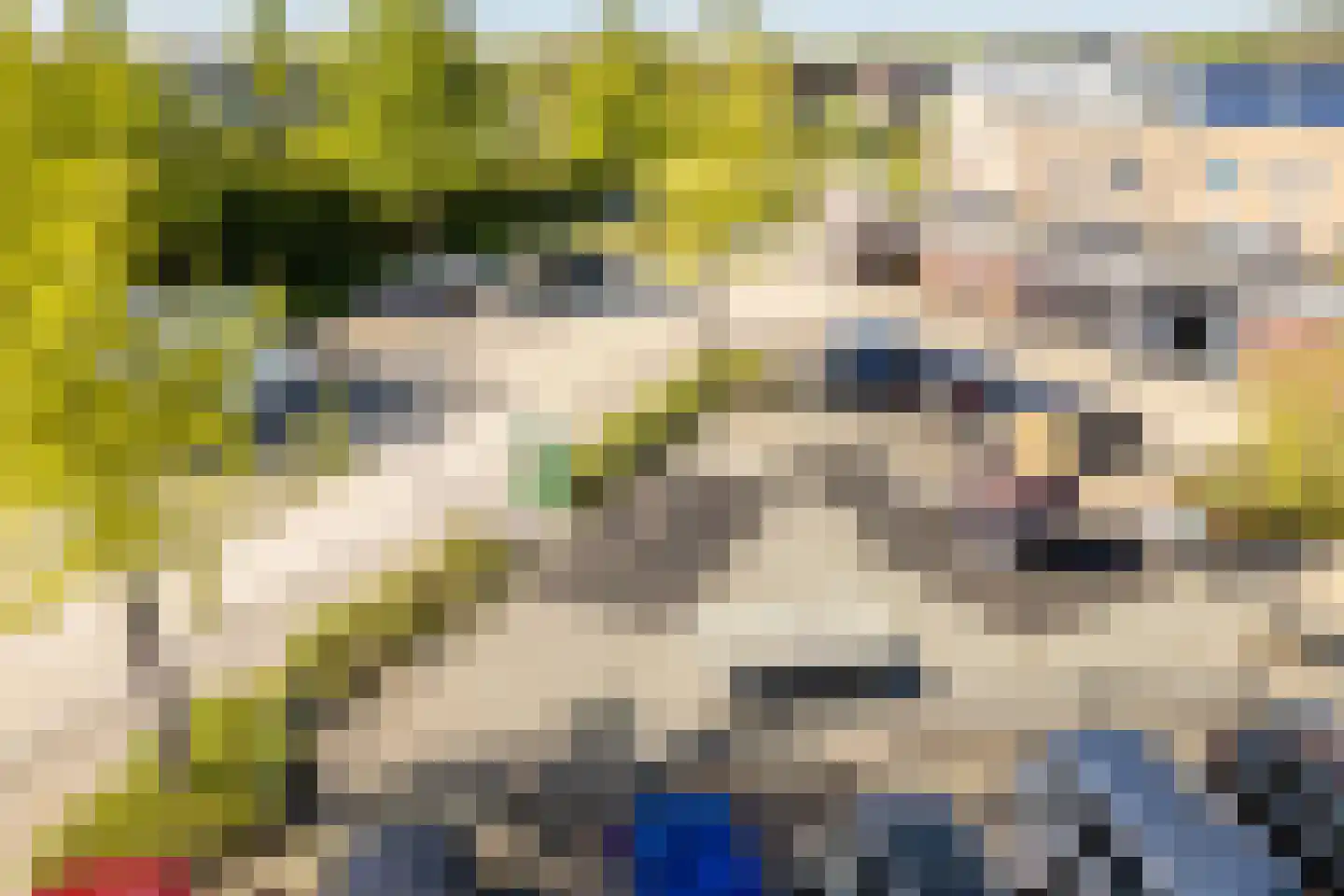 Fresiaveld 8 Nieuwerkerk aan den IJssel thumbnail 39