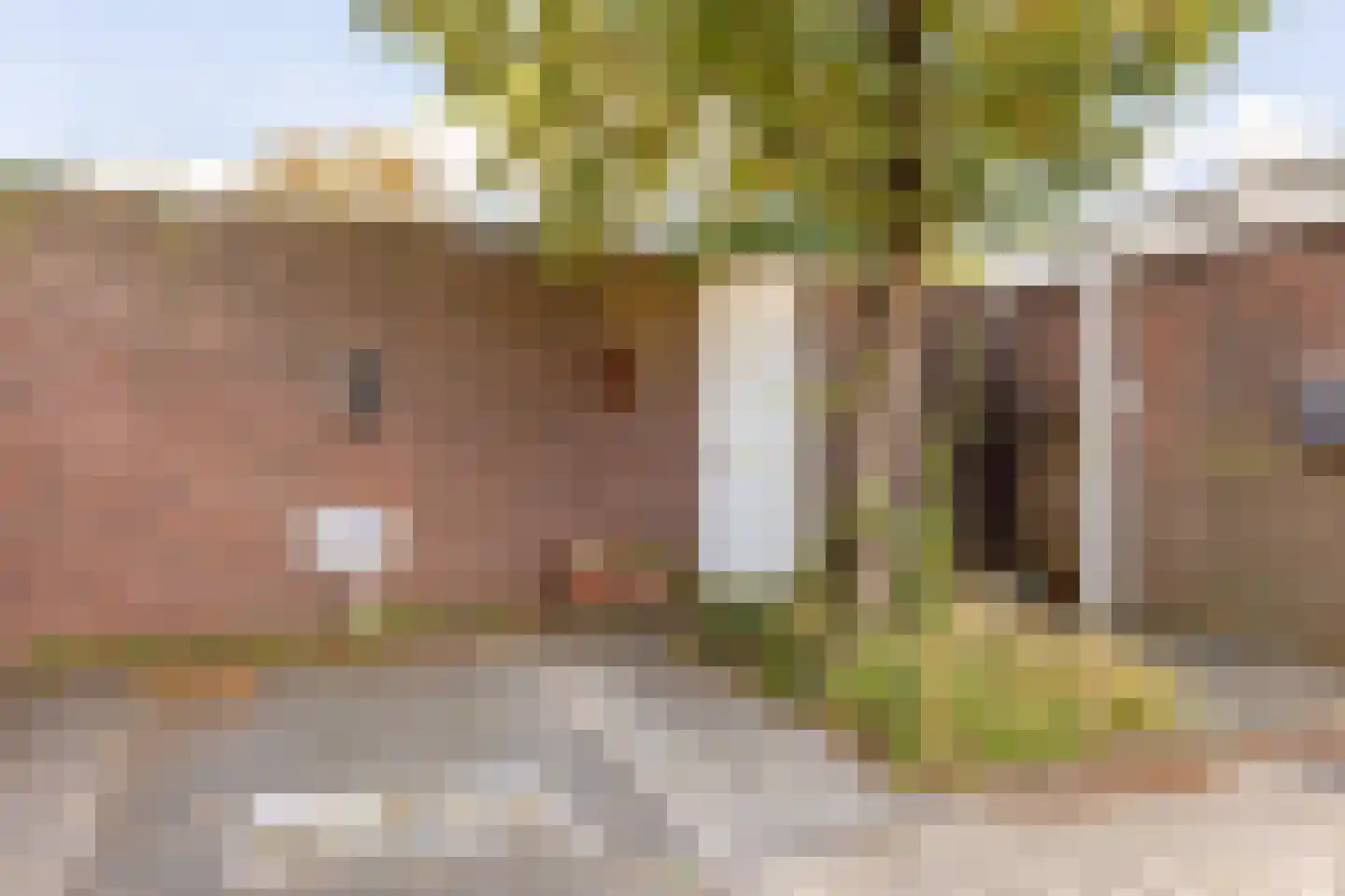 Fresiaveld 8 Nieuwerkerk aan den IJssel thumbnail 40