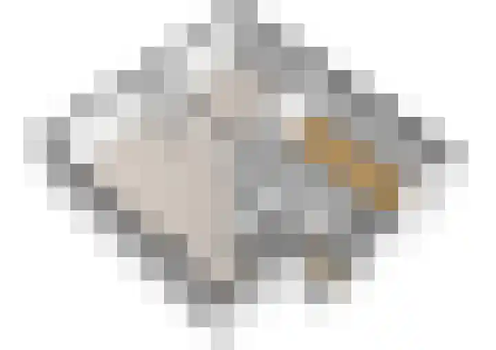 Fret 27 Veldhoven thumbnail 22