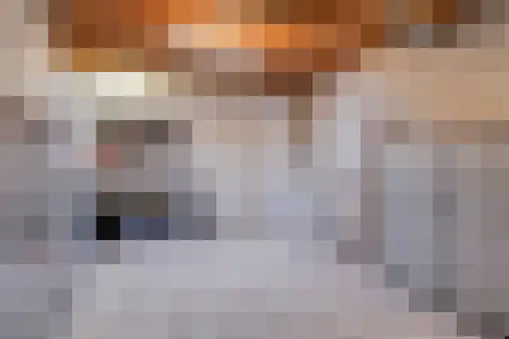 Fret 27 Veldhoven thumbnail 25