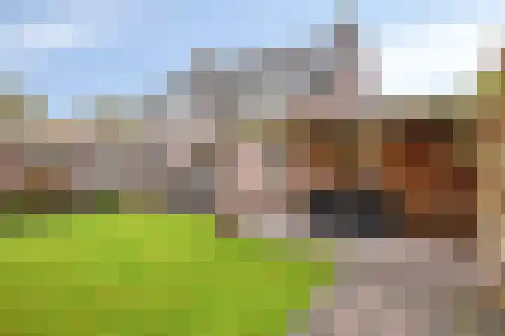 Fret 27 Veldhoven thumbnail 28