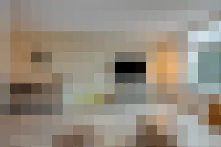 Fret 27 Veldhoven thumbnail 4
