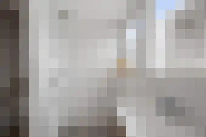 Fretstraat 11 B Nijmegen thumbnail 12