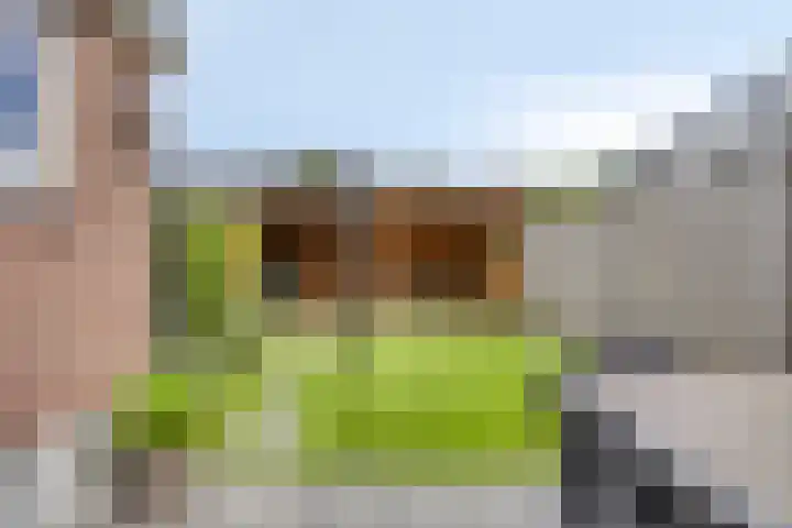 Fretstraat 21 Valkenswaard thumbnail 27